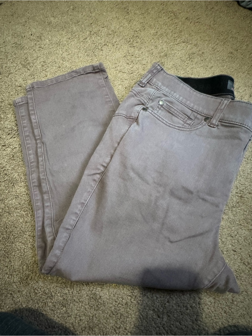 torrid Taupe Stretch Jeggings